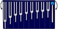 TENFLY Solfeggio Tuning Fork Set - 9 Tuning Forks Perfect for DNA Healing, Chakra, Sound Therapy, Ke