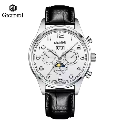 GIGIDIDI Men 43mm Automatic Mechanical Watch Seagull ST16 Movement Calendar Week Month Display Sun/S