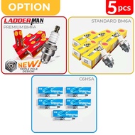 10PCS NGK BM6A C6HSA Spark Plug For Lawn Mower Grass Cutter Brush Cutter Trimmer Mesin Rumput Pemoto