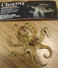 稀有 全新 海洋堂 盒蛋 Choco Q 日本的動物 八爪魚