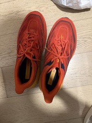 HOKA SPEEDGOAT 5 WIDE(JPN: 30, EU: 46 2/3)