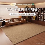 Imitation Sisal Carpet for Living Room, Wear-resistant, Imitation Cat Paw, Wash-free, Wabi-sabi, Vin