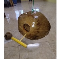 sarang burung kelapa sarang burung sabut sarang burung baji