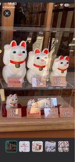 日本豪德寺招財貓擺件 3號/5號