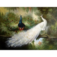 Wall Decoration, PEACOCK, JUMBO Size, 100x70cm & 150x100cm & 200x100cm/Printed Painting/ Poster Prin