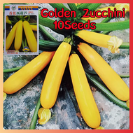 ปลูกง่าย ปลูกได้ทั่วไทย ของแท้ 100% 30 เมล็ด เมล็ดพันธุ์ น้ำเต้าเซียน Zucchini Seeds เมล็ดพันธุ์ผัก 