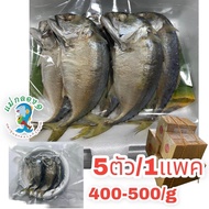 ปลาทู#ปลาทูนึ่งแม่กลอง/ขนาด5ตัวใหญ่/น้ำหนัก400-500กรัม/เนื้อนิ่มมันอร่อย ไม่เค็ม