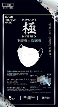 日本 - [極] 冷感布 x 不織布 抗菌立體口罩 M 5片 (獨立包裝)