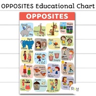 OPPOSITES Chart | A4 Size | Laminated Educational Wall Charts, Chart for Kids, Educational Chart
