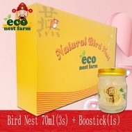 Pati Sarang Burung Asli ECOLITE Bird Nest Gift Set