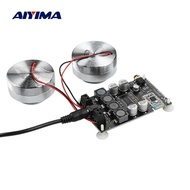 AIYIMA Vibration Full Range Speaker+ Amplifier+ Plug 2 Inch Audio Mini Portable 4/8 Ohm 20/25W Reson