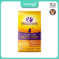 Wellness Complete Health Grain-Free Dry Dog Food (4lb /1.8kg) | Puppy, Small Breed, Adult (Deboned Chicken or Turkey)