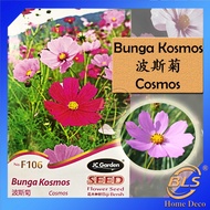 F106 COSMOS JC GARDEN FLOWER SEED BIJI BENIH BUNGA KOSMOS 波斯菊种子