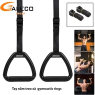GYMNASTIC RINGS – GYM STANDARD HOME TRAINING RINGS, Workout hanging RINGS, Set includes: 2 RINGS + 2