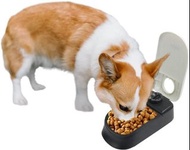 實體店鋪/SF ( 1 meal $188 / 2 meal $258) PAWISE Automatic Pet Feeder, Auto Dog Dry Food Dispenser with T