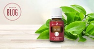 Tea tree 茶樹精油