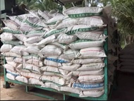 Cocopeat 12kg+ Organic Cocopeat Natural Fine Cocopeat Medium Sabut Kelapa