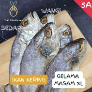 Ikan Masin Gelama Masam Besar XL 5A Ikan Gelama Kering |Ikan Gelama Masam Ikan Gelama Masin Ikan Mas