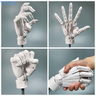 TTSTE Hand Model, Biomimetic Manikin Hand Hand Joint Finger, Home Decoration Simulation Mannequin 1: