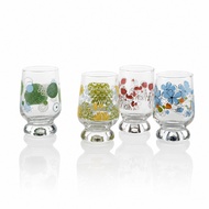 Top Point 6PCS Glass Tumbler set 4 Design - TP-G02-W6406/BH6