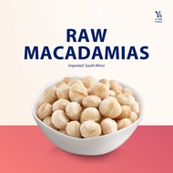 Raw Macadamia Nuts 250g / 500g Healthy Snacks Quality Fresh