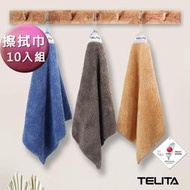 【TELITA】日本大和認證抗菌防臭超細纖維吸水擦拭巾/擦手巾/抹布(超值10條組)TA9601