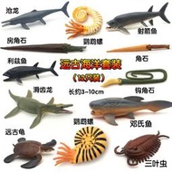 萬物園✨仿真遠古海洋奇蝦鸚鵡螺三葉蟲菊石模型鱟角石玩具塑膠兒童科教育