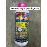 Baja Hormon Segar Pokok Getah