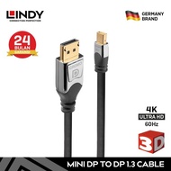 LINDY Kabel Mini Display Port to DisplayPort Cable (Mini DP to DP) 5m