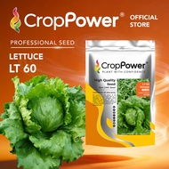 (100 GRAM) Biji Benih Sayur Salad Omega 傲美佳 LT60 CROP POWER Iceberg Lettuce Seed  结球生菜种子 LT 60 Lactu