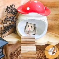 Hamster Mushroom hideout | Earthenware hamster House | Mushroom hamster House | Hidding cave gecko | Reptile hidding cave | Hamster Cage Decoration