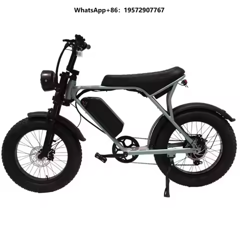Manufacturer Supplier 48V 500W Electric Bike Electric Mountain Bike