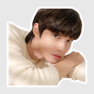 Hwang In Yeop Korean Superstars Artist Stickers