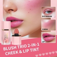 Liquid Blush Lip and Cheek Sponge Tip Liquid Blush Stick Matte Lifting Complexion Liquid Blush