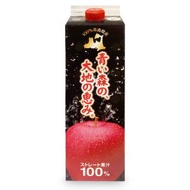津輕 100% 青森蘋果汁 (1000ml) (黑色) x 1 枝 (賞味期限: 2026年8月3日)