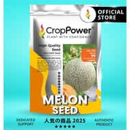 (500 SEEDS) Biji Benih Rock Melon Glory 荣耀 ML219 CROP POWER F1 HYBRID  Rock Melon Seed  蜜瓜种子 ML 219