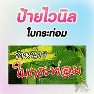 ป้ายไวนิล จำหน่ายใบกระท่อม  ฟรีเจาะตาไก่