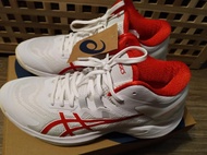 🏀🏀全新 ASCIS 籃球鞋 Gelburst 25(us 11.5)