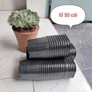 50 square plastic pots 9x9