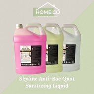 SKYLINE Sanitizer 5L Liquid Disinfectant Sanitizer