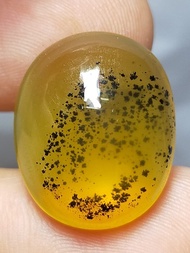 พลอย โอปอล ต้นไม้ ธรรมชาติ แท้ ( Natural Dendritic Moss Opal ) 13.37 กะรัต