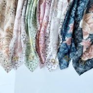 Standard motif B240 B242 B243