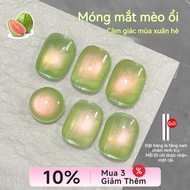 AMDMG 8g Guava Cat Eye Gel