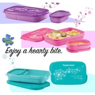 Tupperware Hearty Bites Lunch Box / Foodie Buddy Bento - 1 set / Pink / Green / Purple