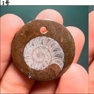 Natural Ancient Biological Mud Pot Chronicle Fossil Moroccan Ammonite Pendant Geological Popular Sci
