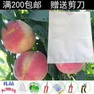 【現貨】桃子專用套袋獼猴桃黃桃水蜜桃蟠桃白色雙層防雨水防鳥防蟲桃樹袋