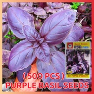 ปลูกง่าย ปลูกได้ทั่วไทย เมล็ดสด100% เมล็ดกะเพราสีม่วง 500เมล็ด/ถุง Organic Purple Basil Seeds Vegetable Seeds for planting เมล็ดผักชี เมล็ดพันธุ์ผัก ต้นไม้มงคล ผักสวนครัว เมล็ดบอนสี บอนไซ พันธุ์ผัก เมล็ดผัก เมล็ดพันธุ์พืช อร่อยมากกก Vegetables Plants