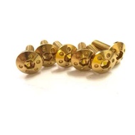 YAMAHA XMAX NMAX V1 V2 WINDSHIELD SCREW TITANIUM GOLD SKRU 4PCS PREMIUM SKRU XMAX250 NMAX155 VISOR S