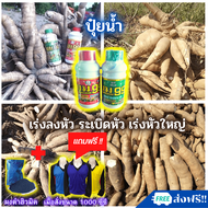 🆓ส่งฟรีไม่ใช้โค้ด ปุ๋ยน้ำ ระเบิดหัวมันสำปะหลัง ปุ๋ยมันสำปะหลัง เร่งหัว แป้งเยอะ ปุ๋ยน้ำ บูม99