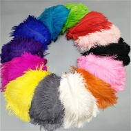 10PCS 15-20cm ostrich feather wedding arrangement feather decoration feather colorful ostrich feathe